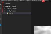 VSCode代码片段排序设置