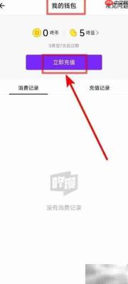 咚咚漫画快速充值指南