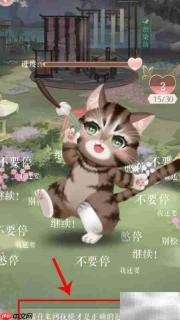 灵猫传逗猫技巧大揭秘