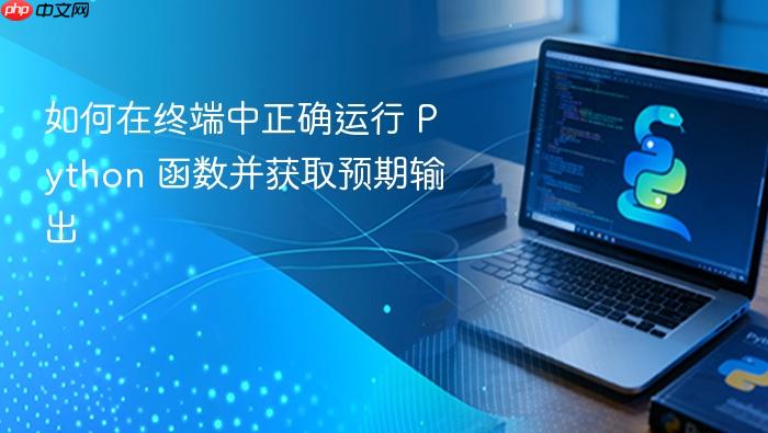 如何在终端中正确运行 Python 函数并获取预期输出