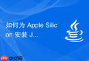 如何为 Apple Silicon 安装 Java 19 JVM