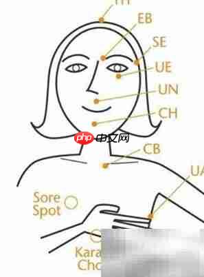 EFT情绪治疗流程解析