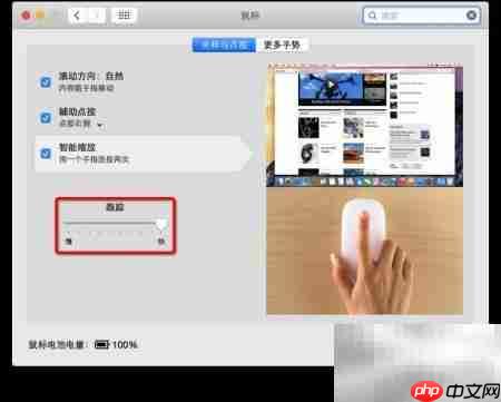 苹果鼠标反应慢?一招解决
