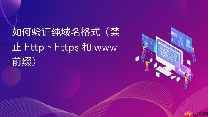 如何验证纯域名格式(禁止 http、https 和 www 前缀)