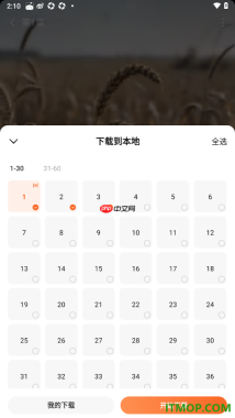 番茄免费小说手机版批量且免费下载短剧到本地的方法