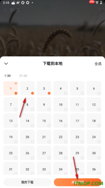 番茄免费小说手机版批量且免费下载短剧到本地的方法