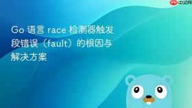 Go 语言 race 检测器触发段错误（fault）的根因与解决方案
