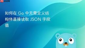 如何在 Go 中无需定义结构体直接读取 JSON 字段值