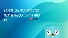 如何在 Go 中无需定义结构体直接读取 JSON 字段值