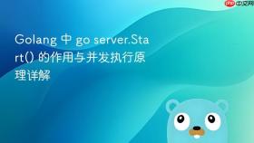 Golang 中 go server.Start() 的作用与并发执行原理详解