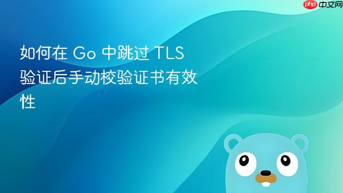 如何在 Go 中跳过 TLS 验证后手动校验证书有效性