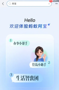 支付宝“阿宝”公测开启：告别菜单跳转，进入“对话式”办事新时代