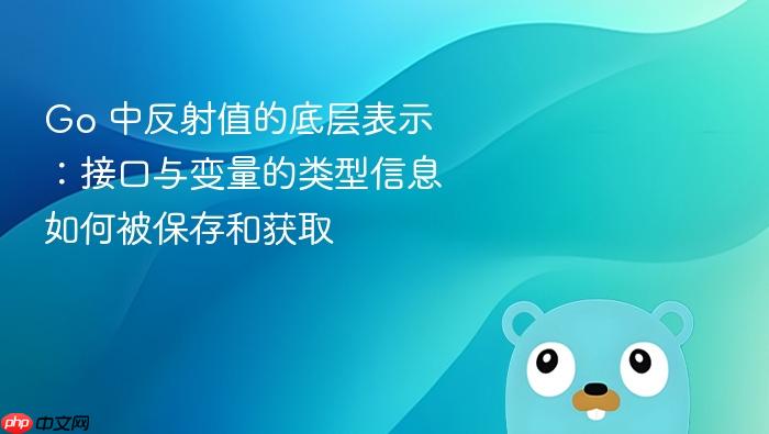 Go 中反射值的底层表示:接口与变量的类型信息如何被保存和获取