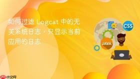 如何过滤 Logcat 中的无关系统日志,只显示当前应用的日志