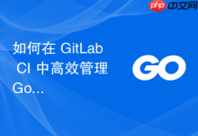 如何在 GitLab CI 中高效管理 Go 项目的 GOPATH 与依赖缓存