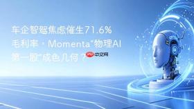 车企智驾焦虑催生71.6%毛利率,momenta“物理ai第一股”成色几何?