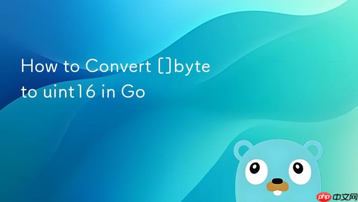 How to Convert []byte to uint16 in Go
