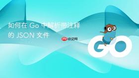 如何在 Go 中解析带注释的 JSON 文件
