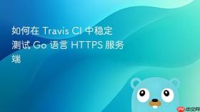 如何在 Travis CI 中稳定测试 Go 语言 HTTPS 服务端
