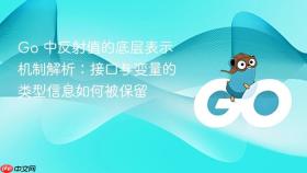 Go 中反射值的底层表示机制解析:接口与变量的类型信息如何被保留