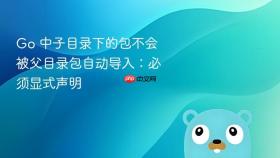 Go 中子目录下的包不会被父目录包自动导入:必须显式声明