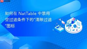 如何在 NatTable 中禁用空过滤条件下的“清除过滤”图标