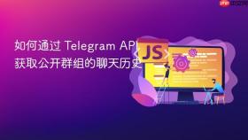如何通过 Telegram API 获取公开群组的聊天历史