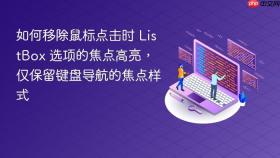 如何移除鼠标点击时 ListBox 选项的焦点高亮，仅保留键盘导航的焦点样式
