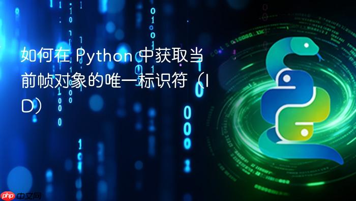 如何在 Python 中获取当前帧对象的唯一标识符(ID)