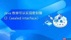 Java 枚举可以实现密封接口（sealed interface）
