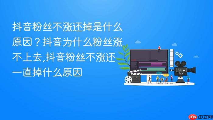 抖音粉丝不涨还掉是什么原因?抖音为什么粉丝涨不上去,抖音粉丝不涨还一直掉什么原因