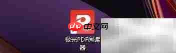 启用极光PDF的Office插件