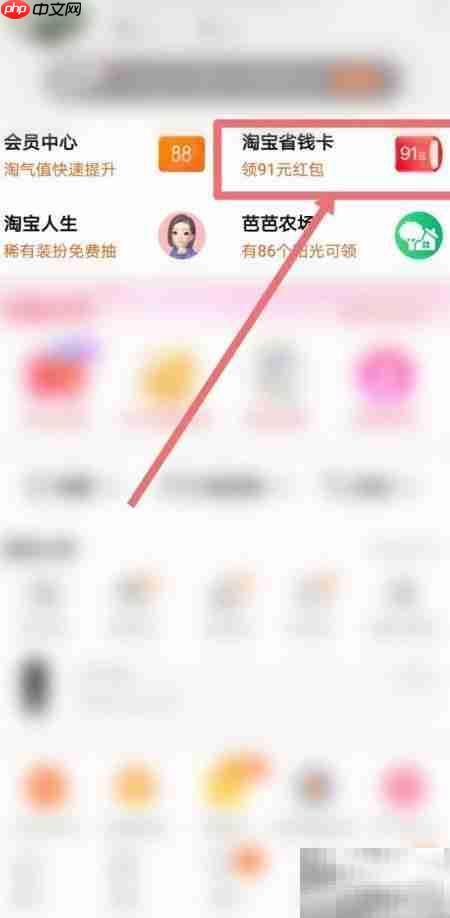 淘宝省钱卡入口找不到?