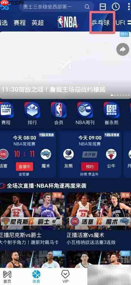 王楚钦VS张本智和直播入口