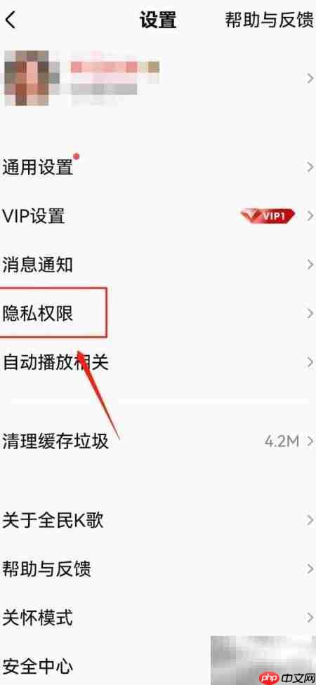 全民K歌如何设置隐身在线