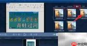 Ashampoo添加字幕教程