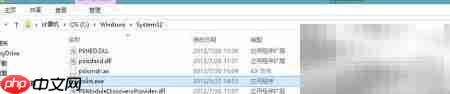 pslist运行失败或闪退解决