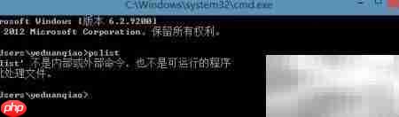 pslist运行失败或闪退解决