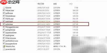 pslist运行失败或闪退解决