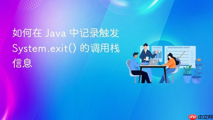 如何在 Java 中记录触发 System.exit() 的调用栈信息
