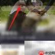 微视播放电影方法