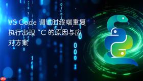 VS Code 调试时终端重复执行出现 ^C 的原因与应对方案