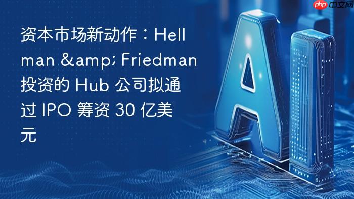 资本市场新动作:hellman & friedman 投资的 hub 公司拟通过 ipo 筹资 30 亿美元
