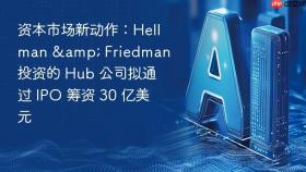 资本市场新动作:hellman & friedman 投资的 hub 公司拟通过 ipo 筹资 30 亿美元