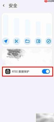 ROAM开启RTEE数据保护指南