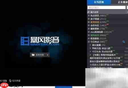 BHD转FLV格式转换指南