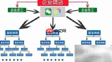 微分销模式与三级技巧解析