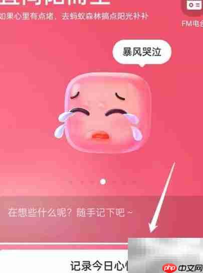 支付宝地下室心情记录指南