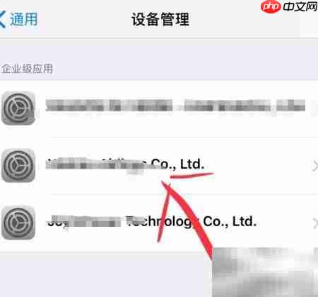 iPhone应用打不开?信任开发者