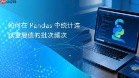 如何在 Pandas 中统计连续重复值的批次频次

